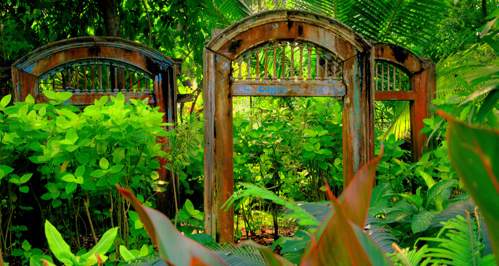 hidden garden